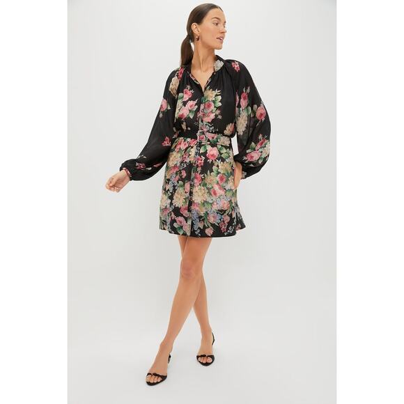 BYTIMO Flower Market Cupro Button Down Dress Size XS NWT Retail $430 Tuckernuck - Picture 5 of 8